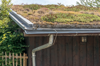 Build a green shed's roof