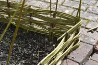How to weave your own wattle edging