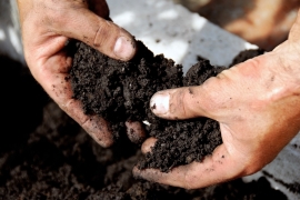 Soil and fertilisers